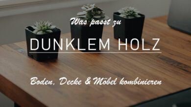 Zu erkennen isgt ein Schreibtisch aus dunklem Holz. Darauf sind drei Sukkulenten drapiert. Diese befinden sich in kleinen schwarzen Vasen. Das Bild ist leicht abgedunkelt um den Titel besser lesen zu können: Was passt zu dunklem Holz? Boden, Decke und Möbel aus dunklem Holz kombinieren.